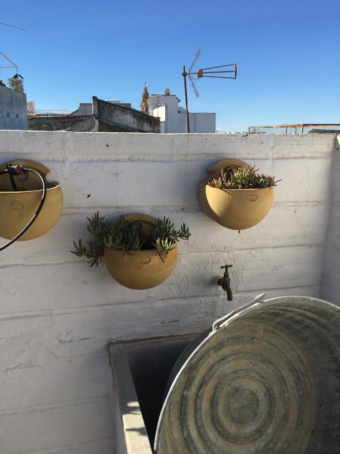 Casa Leon Blanco Carmona Reformada Centrica Con Chimenea Y Terraza Con Vistas Villa Eksteriør billede