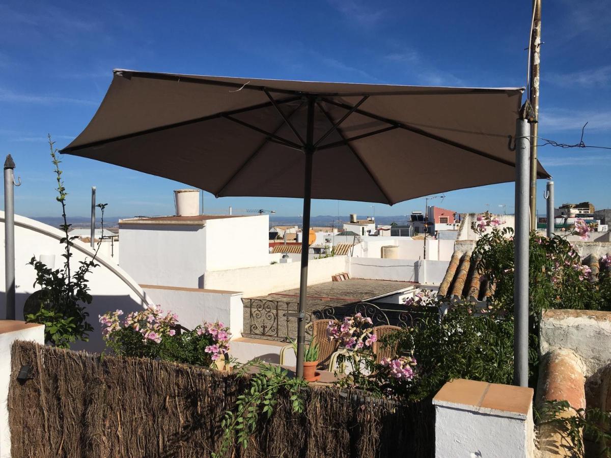 Casa Leon Blanco Carmona Reformada Centrica Con Chimenea Y Terraza Con Vistas Villa Eksteriør billede