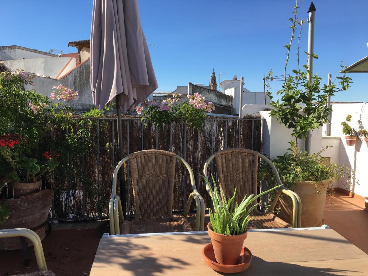 Casa Leon Blanco Carmona Reformada Centrica Con Chimenea Y Terraza Con Vistas Villa Eksteriør billede